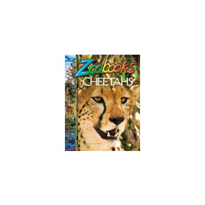 Zoobooks - 10 Issues - 1 Year