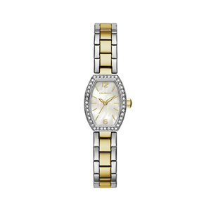 Ladies Two-Tone Stainless Steel Crystal Watch Mother-of-Pearl