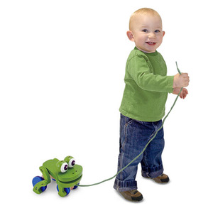 Frolicking Frog Pull Toy