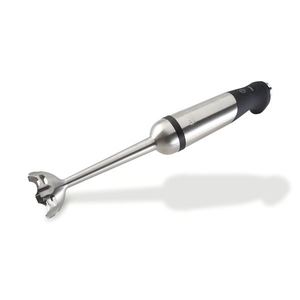 Immersion Blender