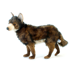 hansa Adult Coyote 20 Inch Plush
