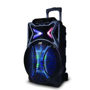 15" Portable Bluetooth Karaoke Speaker w/ Lights