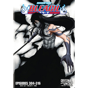 Bleach Box Set 22