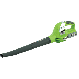 24 Volt Lithium-Ion Cordless Electric Blower