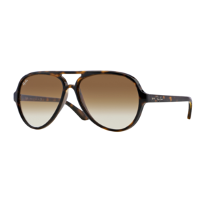 Ray-Ban Cats 5000 Classic Sunglasses