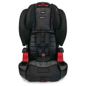 Pioneer G1.1 - Domino