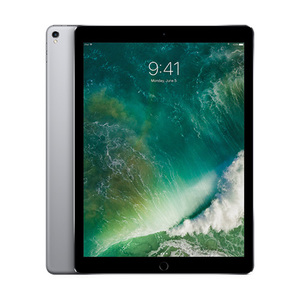 12.9" iPad Pro Wifi 256GB Space Gray