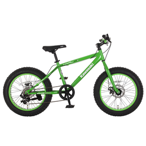 Kawasaki&trade; Haru Fat Tire Bike, 20x4 inch wheels, Green
