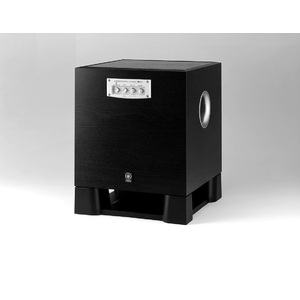 250W Powered Subwoofer w/ Advanced YST