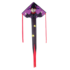 Premier Kite Wizard Regular Easy Flyer Kite